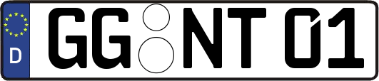 GG-NT01