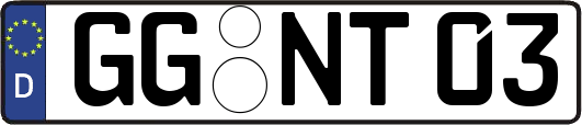 GG-NT03