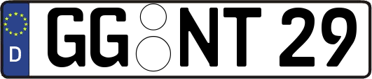 GG-NT29
