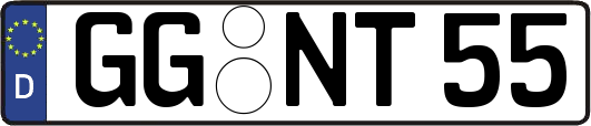 GG-NT55