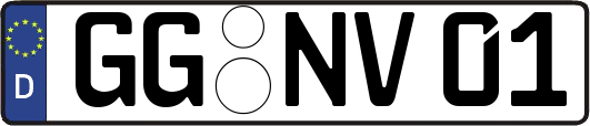 GG-NV01