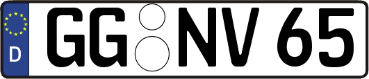 GG-NV65