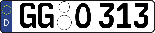 GG-O313
