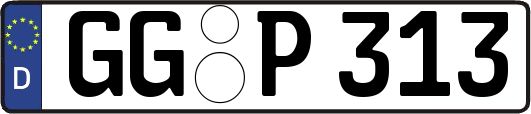 GG-P313