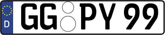 GG-PY99