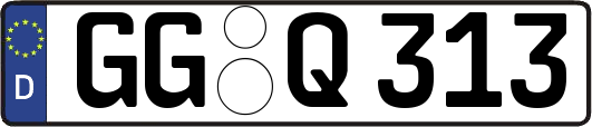 GG-Q313
