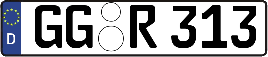 GG-R313