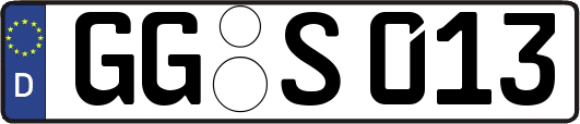 GG-S013