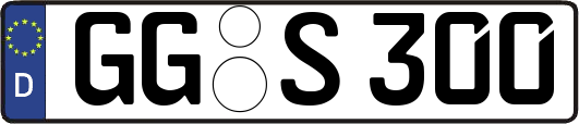 GG-S300