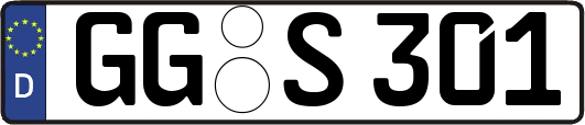 GG-S301
