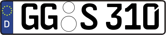 GG-S310