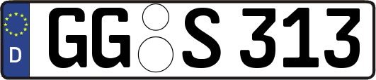 GG-S313