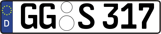 GG-S317