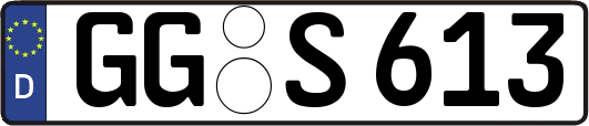 GG-S613