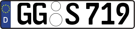 GG-S719