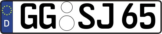 GG-SJ65