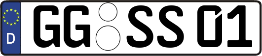 GG-SS01