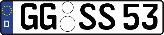 GG-SS53