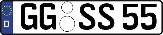 GG-SS55