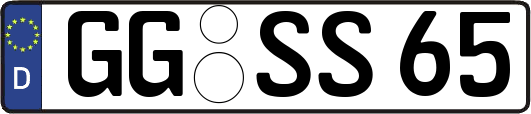 GG-SS65