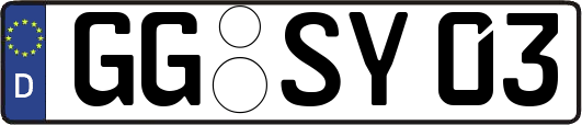 GG-SY03