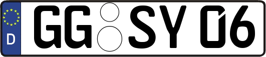 GG-SY06
