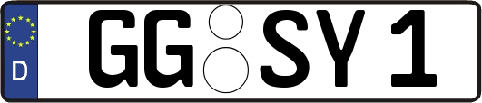 GG-SY1