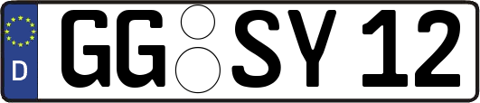 GG-SY12