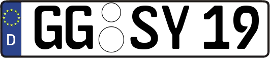 GG-SY19