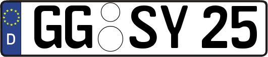 GG-SY25