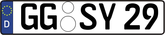 GG-SY29
