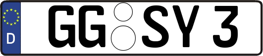 GG-SY3