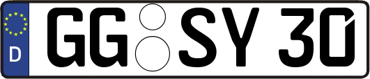 GG-SY30
