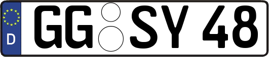 GG-SY48