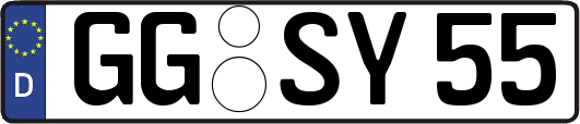 GG-SY55