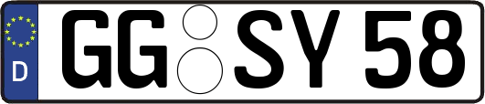 GG-SY58
