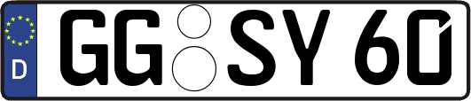 GG-SY60