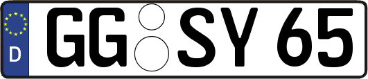 GG-SY65