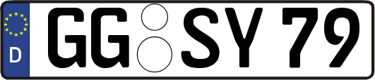 GG-SY79