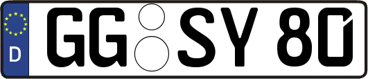 GG-SY80