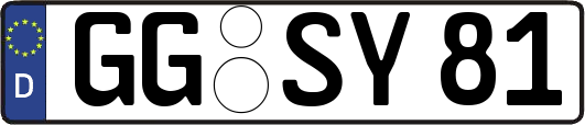 GG-SY81