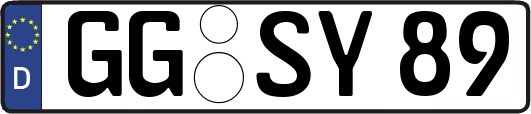 GG-SY89