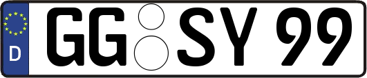 GG-SY99