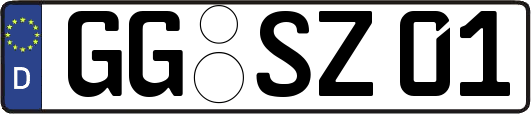 GG-SZ01