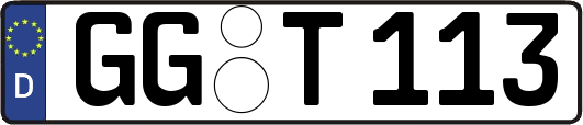 GG-T113