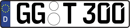GG-T300