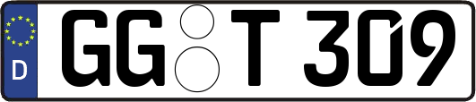 GG-T309