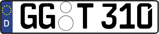 GG-T310