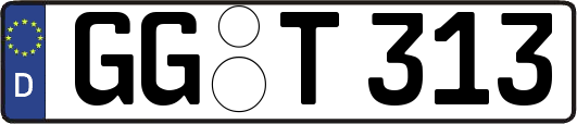 GG-T313