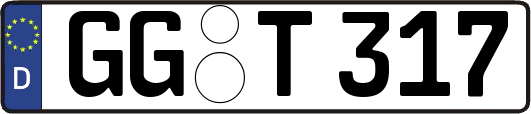 GG-T317